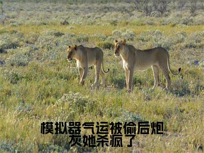模拟器气运被偷后炮灰她杀疯了小说全文免费阅读无弹窗大结局_模拟器气运被偷后炮灰她杀疯了凌云最新章节列表_笔趣阁(模拟器气运被偷后炮灰她杀疯了)