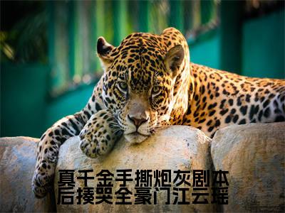真千金手撕炮灰剧本后揍哭全豪门江云瑶（江云瑶）全文免费阅读无弹窗大结局_真千金手撕炮灰剧本后揍哭全豪门江云瑶最新章节列表笔趣阁