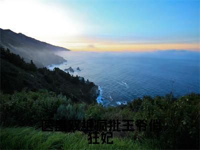 祁韶陆雪朝全文免费阅读-医蛊双绝疯批王爷俏狂妃最新章节小说免费阅读
