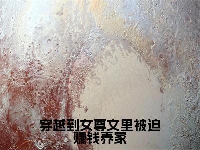 木言抖音新书热荐-穿越到女尊文里被迫赚钱养家全文在线赏析(木言)