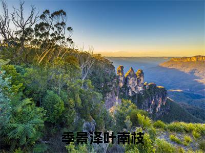 【完整版】(季景泽叶南枝小说叶南枝季景泽)精彩小说全本资源免费阅读结局无删节_叶南枝季景泽全章节阅读