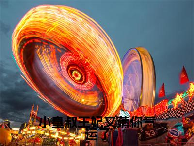 陆昭菱周时阅高赞小说(小皇叔王妃又薅你气运了)完结阅读_小皇叔王妃又薅你气运了免费看全文