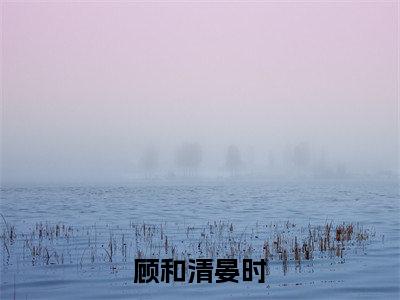顾和清晏时在线阅读（晏时顾和清）全文无弹窗大结局_晏时顾和清全文在线阅读无弹窗