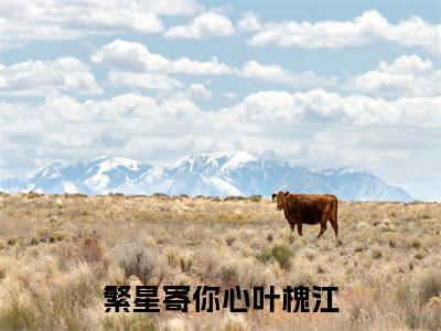 繁星寄你心叶槐江全文免费阅读(舒子娴叶槐江免费阅读无弹窗)繁星寄你心叶槐江最新章节列表_笔趣阁