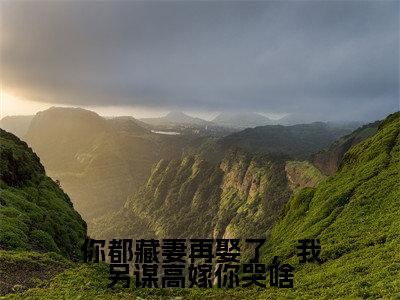 叶熙宁顾沉钧(你都藏妻再娶了,我另谋高嫁你哭啥)全文免费阅读_(你都藏妻再娶了,我另谋高嫁你哭啥)叶熙宁顾沉钧最新章节小说免费阅读_笔趣阁
