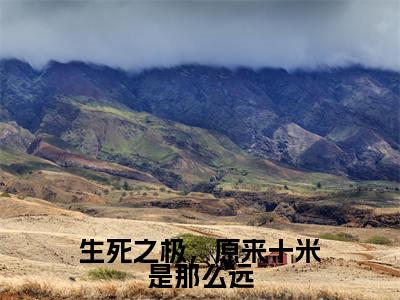 生死之极,原来十米是那么远小说(傅名御黎念希)全文免费生死之极,原来十米是那么远阅读无弹窗大结局-(傅名御黎念希)笔趣阁