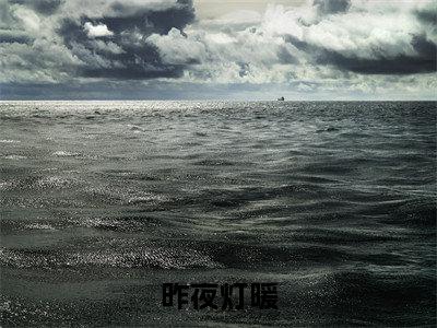 傅烬如萧丛南小说免费阅读无弹窗大结局,昨夜灯暖最新章节列表