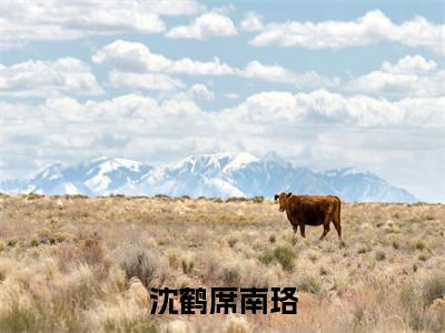沈鹤席南珞小说全文免费阅读无弹窗大结局_（沈鹤席南珞全文免费阅读）沈鹤席南珞最新章节列表笔趣阁