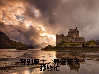 穿到废土,养娃宠夫挣钱忙免费阅读全文免费阅读无弹窗大结局_(朵兰小说免费阅读)穿到废土,养娃宠夫挣钱忙最新章节阅读