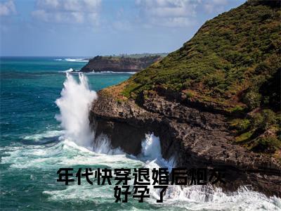 年代快穿退婚后炮灰好孕了(晏汐古茗)全文免费阅读无弹窗大结局_(晏汐古茗阅读无弹窗)年代快穿退婚后炮灰好孕了小说_笔趣阁