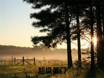 超级豪门免费阅读无弹窗,小说李阳大结局全文免费阅读