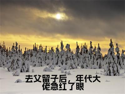 去父留子后,年代大佬急红了眼(顾南音)全文免费阅读无弹窗大结局_去父留子后,年代大佬急红了眼最新章节列表(顾南音)