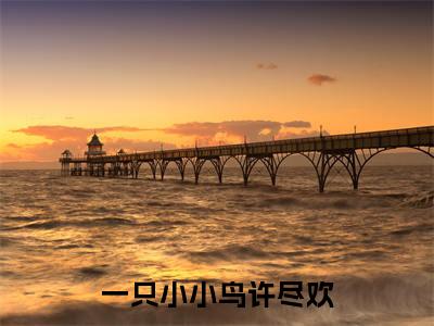 顾淮川许尽欢(一只小小鸟许尽欢)全文免费阅读无弹窗大结局_顾淮川许尽欢一只小小鸟许尽欢_笔趣阁