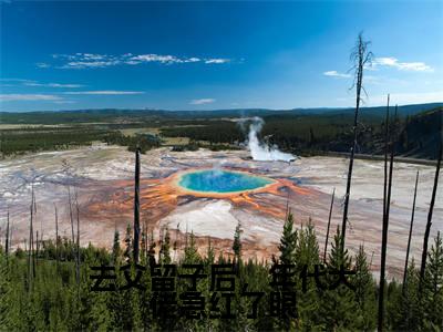 去父留子后,年代大佬急红了眼(顾南音)全文免费阅读_去父留子后,年代大佬急红了眼免费阅读最新章节列表笔趣阁(顾南音)