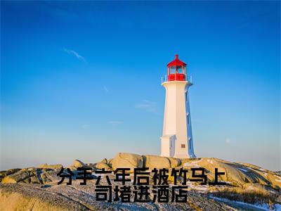 分手六年后被竹马上司堵进酒店热门推荐小说(秦砚林觅)精彩章节阅读-分手六年后被竹马上司堵进酒店全文免费在线阅读_笔趣阁