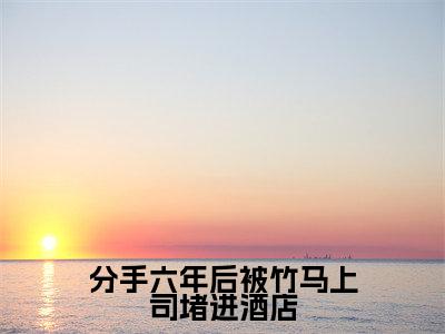 分手六年后被竹马上司堵进酒店（秦砚林觅）小说全文免费读无弹窗大结局_分手六年后被竹马上司堵进酒店小说全文免费阅读