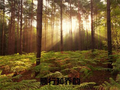 顾行知乔韵(乔韵顾行知)全文免费阅读无弹窗大结局_顾行知乔韵小说全文免费阅读最新章节列表(乔韵顾行知)