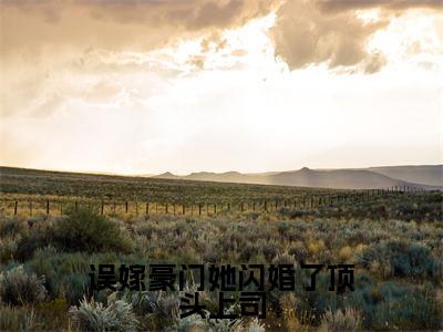 误嫁豪门她闪婚了顶头上司小说(林绯染楚聿全文完整版免费阅读)_误嫁豪门她闪婚了顶头上司小说免费最新章节列表_笔趣阁