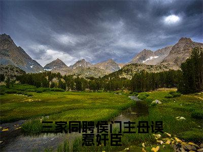 主角是东陵厌薛非暮的小说(三家同聘侯门主母误惹奸臣)-(三家同聘侯门主母误惹奸臣)东陵厌薛非暮全文免费阅读无弹窗大结局笔趣阁