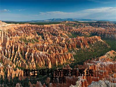 重生年代娇妻有系统林楠(程黎林楠)小说全文免费阅读无弹窗_(程黎林楠)重生年代娇妻有系统林楠小说全文免费阅读最新章节列表笔趣阁
