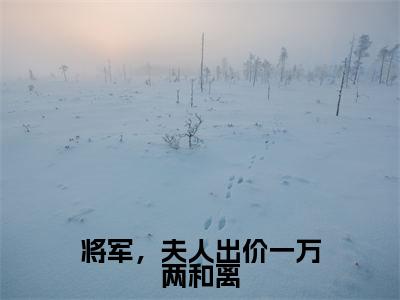 将军，夫人出价一万两和离（魏景墨陶安冉）全文免费阅读无弹窗大结局_（魏景墨陶安冉）全文阅读_笔趣阁（将军，夫人出价一万两和离）