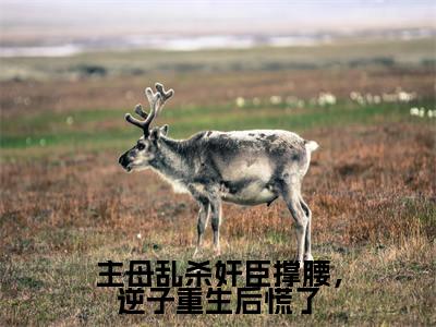 主角叫梁栖月萧悯的小说-(主母乱杀奸臣撑腰,逆子重生后慌了)梁栖月萧悯全文无弹窗完整版阅读