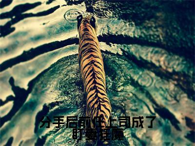 分手后前任上司成了盯妻狂魔小说全文(林致傅兰琛)免费阅读全文无弹窗大结局_林致傅兰琛免费阅读无弹窗小说_笔趣阁