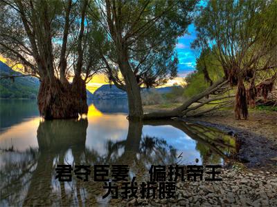 柳如眉是哪部小说的主角-君夺臣妻,偏执帝王为我折腰(柳如眉)全文无弹窗完整版阅读君夺臣妻,偏执帝王为我折腰
