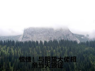 惊悚!与阴鸷大佬相亲当天领证(贺兰哲徐之言)小说免费下载全本-惊悚!与阴鸷大佬相亲当天领证(贺兰哲徐之言完整版)免费阅读
