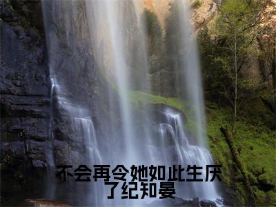 无广告小说不会再令她如此生厌了纪知晏全文免费阅读无弹窗大结局-周似锦纪知晏川在线阅读