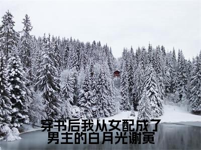穿书后我从女配成了男主的白月光谢寅全文免费阅读无弹窗大结局_(林笙谢寅免费阅读)穿书后我从女配成了男主的白月光谢寅最新章节列表_笔趣阁