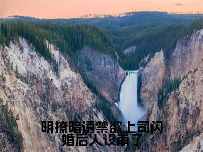 明撩暗诱禁欲上司闪婚后人设崩了小说全文免费阅读-(陆羽沈唯)抖音新书热荐明撩暗诱禁欲上司闪婚后人设崩了全文免费阅读