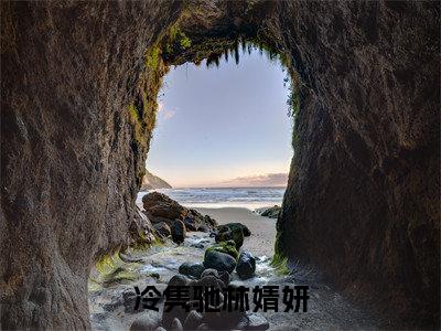 冷隽驰林婧妍小说免费阅读全文在线阅读,林婧妍冷隽驰的小说在线阅读全文