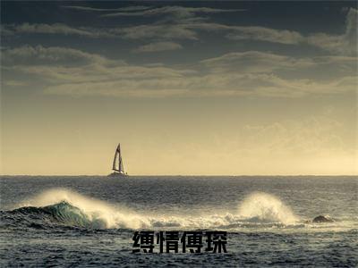 (童晓歌傅琛)缚情傅琛全文免费阅读无弹窗_(缚情傅琛小说免费阅读)最新章节列表笔趣阁