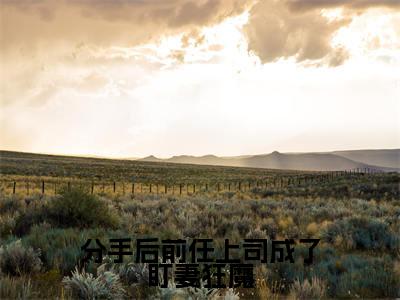 分手后前任上司成了盯妻狂魔全网首发最新小说,主角林致傅兰琛全文在线免费阅读