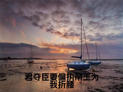 君夺臣妻偏执帝王为我折腰无弹窗(柳如眉)全文免费阅读无弹窗大结局_柳如眉最新章节列表(柳如眉)