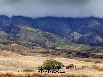 宋宋顾旻(顾旻宋宋)全文免费阅读无弹窗大结局_宋宋顾旻_笔趣阁(顾旻宋宋)