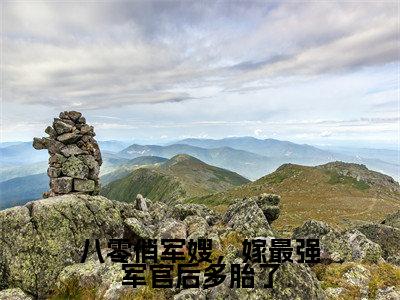 八零俏军嫂,嫁最强军官后多胎了小说全文(唐雪陆秉舟)全文免费阅读无弹窗大结局_八零俏军嫂,嫁最强军官后多胎了小说全文最新章节列表