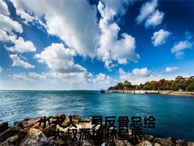 林星辰霍执（小夫人一身反骨总给大叔添堵林星辰）全文免费阅读无弹窗大结局_小夫人一身反骨总给大叔添堵林星辰小说在线阅读无删减