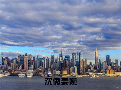 沈傲姜婉小说全文免费阅读（沈傲姜婉）全文免费阅读无弹窗_沈傲姜婉小说全文免费阅读_笔趣阁
