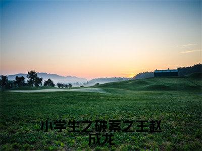 (番外)+(全文)小学生之破案之王赵成龙(吴欣妍赵成龙)精彩小说-小说吴欣妍赵成龙全文无删减版免费阅读