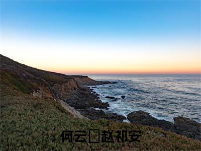 何云晞赵祁安(何云晞赵祁安)精彩小说-何云晞赵祁安全章节免费阅读