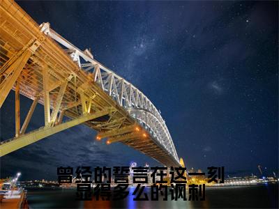 曾经的誓言在这一刻显得多么的讽刺精彩小说（燕棠羿景昭）在哪免费看-小说（燕棠羿景昭）全文完整版免费阅读