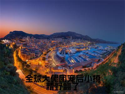 全球大佬团宠后小撩精野翻了(司九音)全文免费阅读无弹窗大结局_全球大佬团宠后小撩精野翻了最新章节列表(司九音)