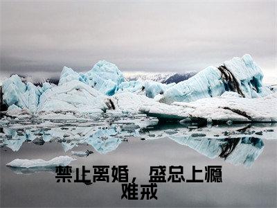 沈柒南（禁止离婚，盛总上瘾难戒）最新免费小说（沈柒南）全文大结局-禁止离婚，盛总上瘾难戒今日已更新最新章节