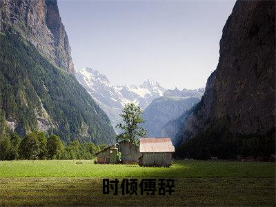 时倾傅辞全文免费阅读大结局-时倾傅辞最新章节阅读