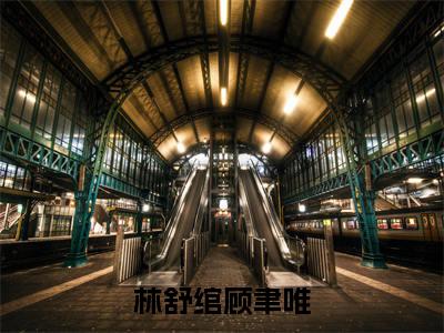 顾聿唯林舒绾(顾聿唯林舒绾)全文免费阅读无弹窗_林舒绾顾聿唯全文免费阅读最新章节大结局