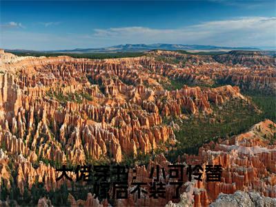 箫筝在哪免费看箫筝结局是什么(大佬穿书:小可怜替嫁后不装了)小说无弹窗免费阅读