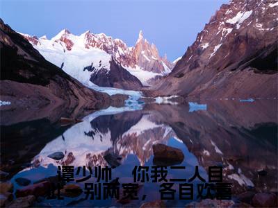 谭少帅，你我二人自此一别两宽，各自欢喜全文免费阅读无弹窗大结局_谭少帅，你我二人自此一别两宽，各自欢喜全文阅读_笔趣阁（谭姜霖陆林染）