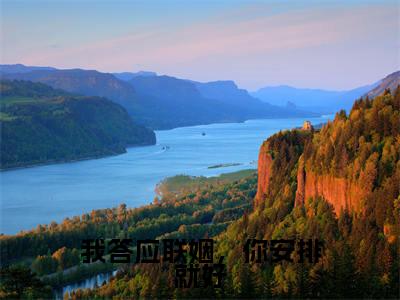 我答应联姻,你安排就好全文免费阅读大结局_我答应联姻,你安排就好全文免费阅读无弹窗_笔趣阁(乔宁宁陆时宴)